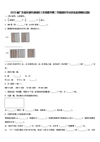 2023届广东省河源市源城区三年级数学第二学期期末学业质量监测模拟试题含解析