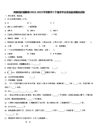 阿里地区措勤县2022-2023学年数学三下期末学业质量监测模拟试题含解析