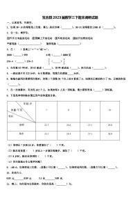 宝应县2023届数学三下期末调研试题含解析