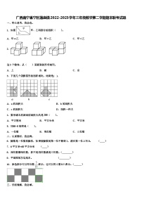 广西南宁邕宁区蒲庙镇2022-2023学年三年级数学第二学期期末联考试题含解析