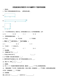 河北省石家庄市新乐市2023届数学三下期末检测试题含解析