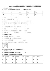 2022-2023学年翁源县数学三下期末学业水平测试模拟试题含解析