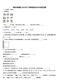 阜新市海州区2023年三下数学期末学业水平测试试题含解析