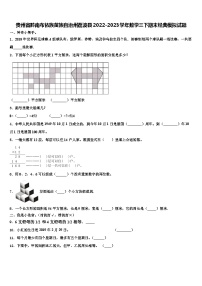 贵州省黔南布依族苗族自治州荔波县2022-2023学年数学三下期末经典模拟试题含解析