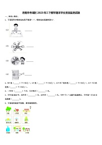 洛阳市老城区2023年三下数学期末学业质量监测试题含解析