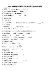 黔南布依族苗族自治州福泉市2023届三下数学期末调研模拟试题含解析