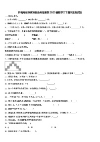 黔南布依族苗族自治州龙里县2023届数学三下期末监测试题含解析