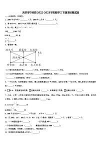 天津市宁河县2022-2023学年数学三下期末经典试题含解析