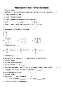 焉耆回族自治县2023届三下数学期末质量检测试题含解析