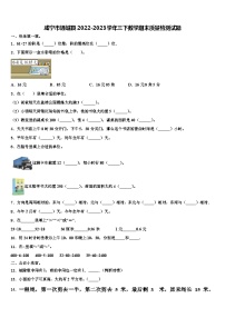 咸宁市通城县2022-2023学年三下数学期末质量检测试题含解析