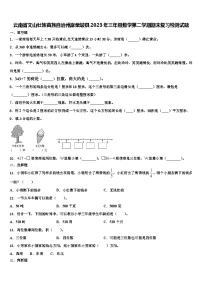 云南省文山壮族苗族自治州麻栗坡县2023年三年级数学第二学期期末复习检测试题含解析