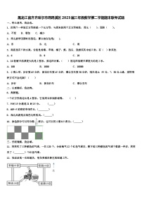 黑龙江省齐齐哈尔市昂昂溪区2023届三年级数学第二学期期末联考试题含解析