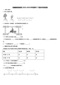 湖南衡阳高新区2022-2023学年数学三下期末检测试题含解析