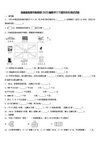 湖南省衡阳市衡阳县2023届数学三下期末综合测试试题含解析