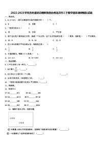 2022-2023学年吉林省延边朝鲜族自治州龙井市三下数学期末调研模拟试题含解析