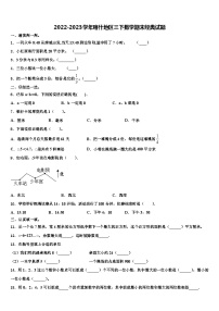 2022-2023学年喀什地区三下数学期末经典试题含解析