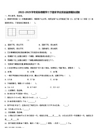 2022-2023学年利辛县数学三下期末学业质量监测模拟试题含解析