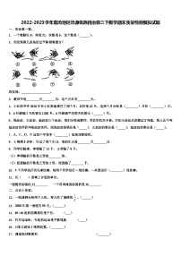 2022-2023学年临沧地区沧源佤族自治县三下数学期末质量检测模拟试题含解析