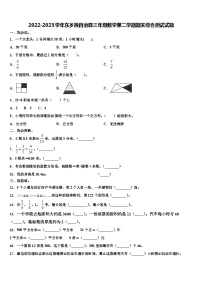 2022-2023学年东乡族自治县三年级数学第二学期期末综合测试试题含解析