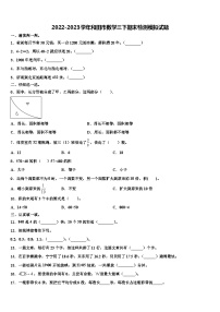 2022-2023学年和田市数学三下期末检测模拟试题含解析