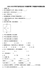 2022-2023学年宁波市北仑区三年级数学第二学期期末考试模拟试题含解析