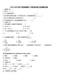 2022-2023学年三明市明溪县三下数学期末复习检测模拟试题含解析