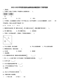 2022-2023学年四川省凉山彝族自治州昭觉县三下数学期末含解析