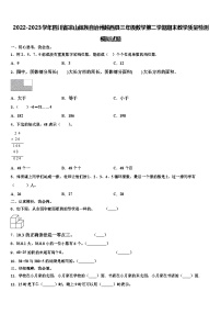 2022-2023学年四川省凉山彝族自治州越西县三年级数学第二学期期末教学质量检测模拟试题含解析