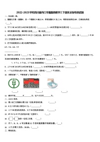 2022-2023学年四川省内江市隆昌县数学三下期末达标检测试题含解析