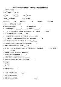 2022-2023学年四会市三下数学期末质量检测模拟试题含解析