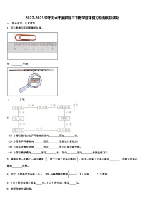 2022-2023学年天水市麦积区三下数学期末复习检测模拟试题含解析