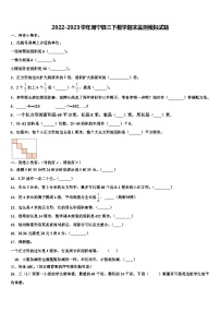 2022-2023学年周宁县三下数学期末监测模拟试题含解析