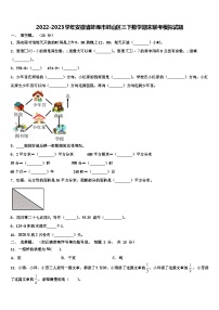 2022-2023学年安徽省蚌埠市蚌山区三下数学期末联考模拟试题含解析