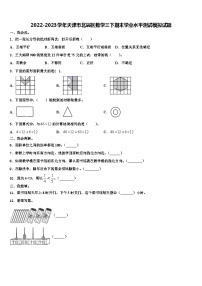 2022-2023学年天津市北辰区数学三下期末学业水平测试模拟试题含解析