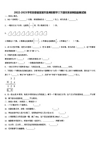 2022-2023学年安徽省宣城市宣州区数学三下期末质量跟踪监视试题含解析