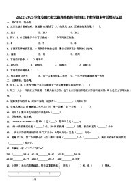 2022-2023学年安顺市紫云苗族布依族自治县三下数学期末考试模拟试题含解析