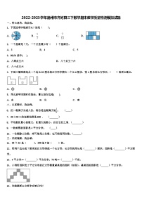 2022-2023学年德州市齐河县三下数学期末教学质量检测模拟试题含解析