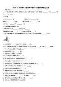 2022-2023学年广东省深圳市数学三下期末经典模拟试题含解析