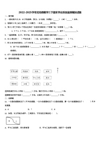 2022-2023学年尼玛县数学三下期末学业质量监测模拟试题含解析