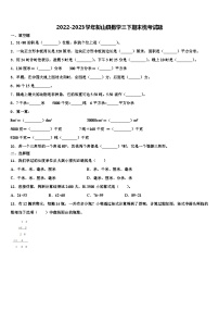 2022-2023学年彭山县数学三下期末统考试题含解析