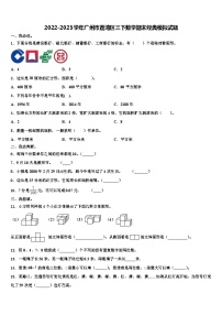 2022-2023学年广州市荔湾区三下数学期末经典模拟试题含解析