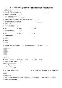 2022-2023学年广东省湛江市三下数学期末学业水平测试模拟试题含解析