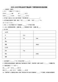 2022-2023学年山东济宁微山县三下数学期末综合测试试题含解析