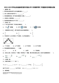 2022-2023学年山东省德州乐陵市孔镇小学三年级数学第二学期期末统考模拟试题含解析