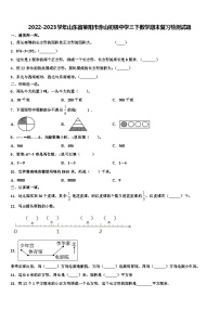 2022-2023学年山东省莱阳市赤山初级中学三下数学期末复习检测试题含解析