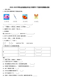 2022-2023学年山东省烟台市龙口市数学三下期末经典模拟试题含解析