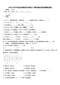 2022-2023学年山东省枣庄市山亭区三下数学期末达标检测模拟试题含解析