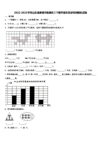 2022-2023学年山东省淄博市临淄区三下数学期末质量检测模拟试题含解析