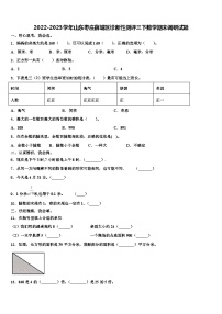 2022-2023学年山东枣庄薛城区诊断性测评三下数学期末调研试题含解析