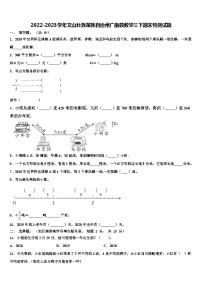 2022-2023学年文山壮族苗族自治州广南县数学三下期末检测试题含解析